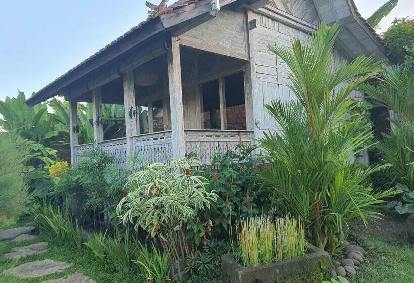 민박 Agaliving Medewi