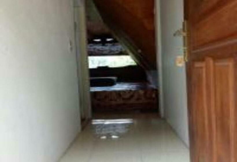 پانسیون Laster Jony S