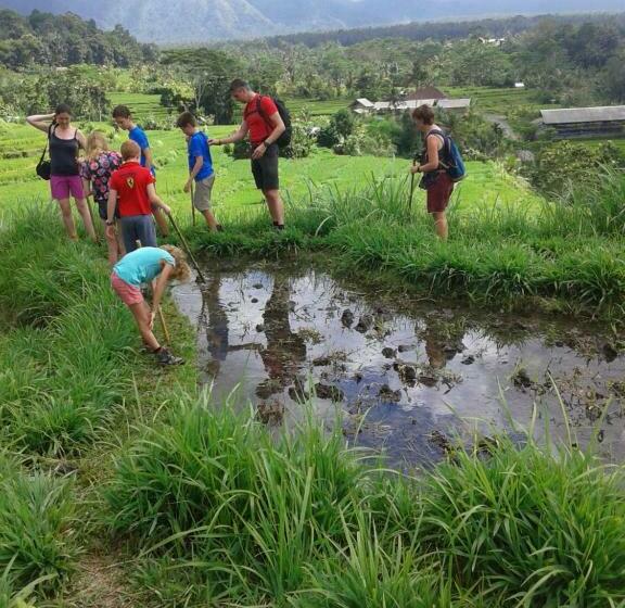 Пансион Pondok Lembah Dukuh Homestay