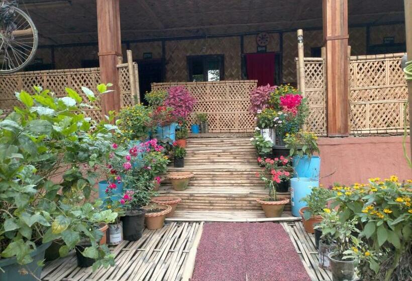 بنسيون Risong Family Guest House