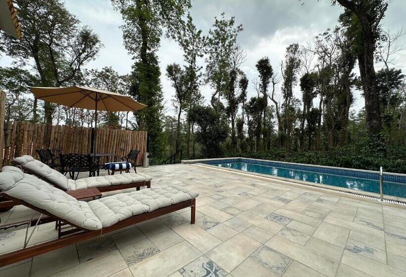 渡假胜地  Machaan Wilderness Lodge Nagarahole
