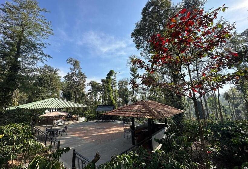 渡假胜地  Machaan Wilderness Lodge Nagarahole