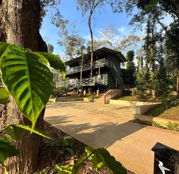 渡假胜地  Machaan Wilderness Lodge Nagarahole
