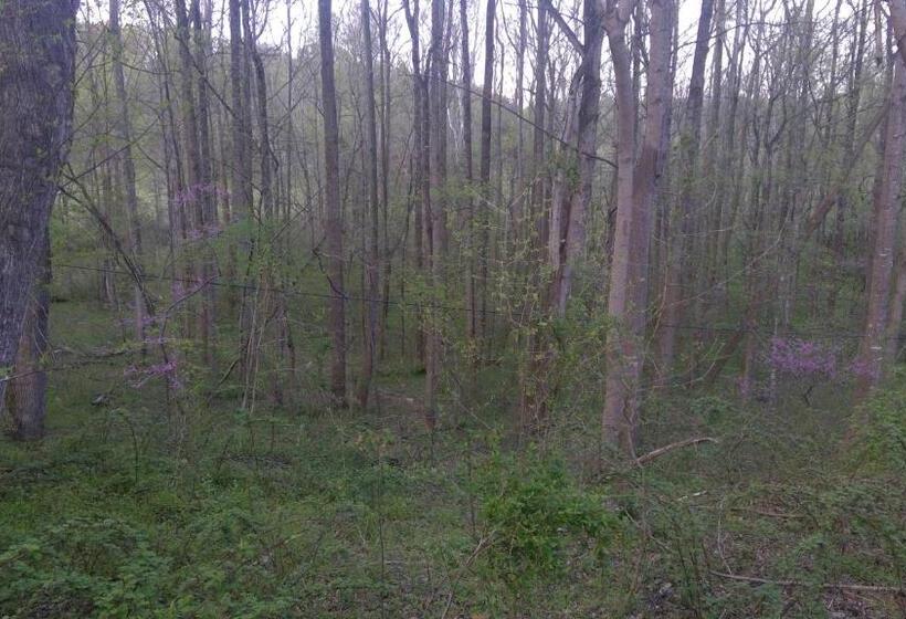 Bliss Point Farm And B&b, Llc