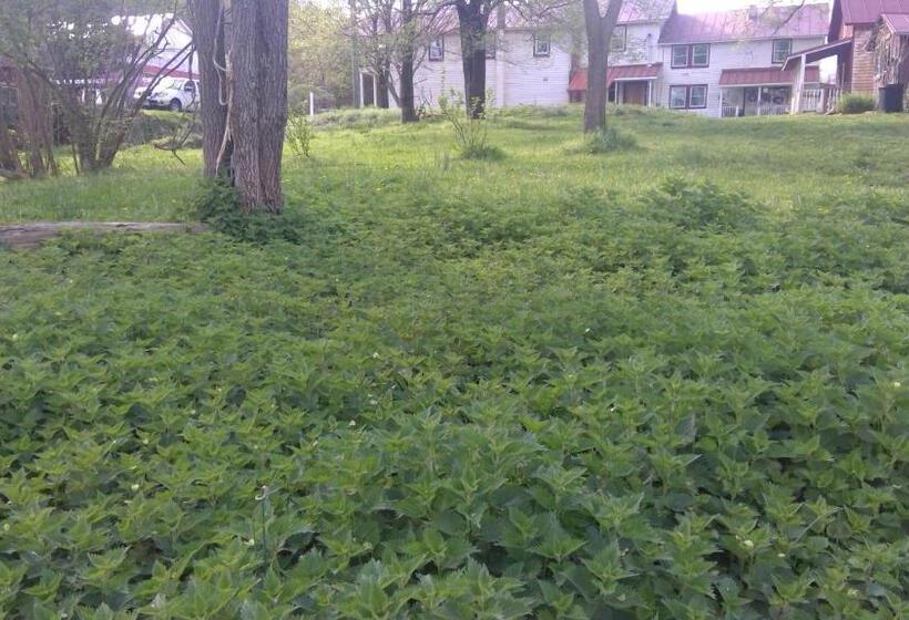 Bliss Point Farm And B&b, Llc