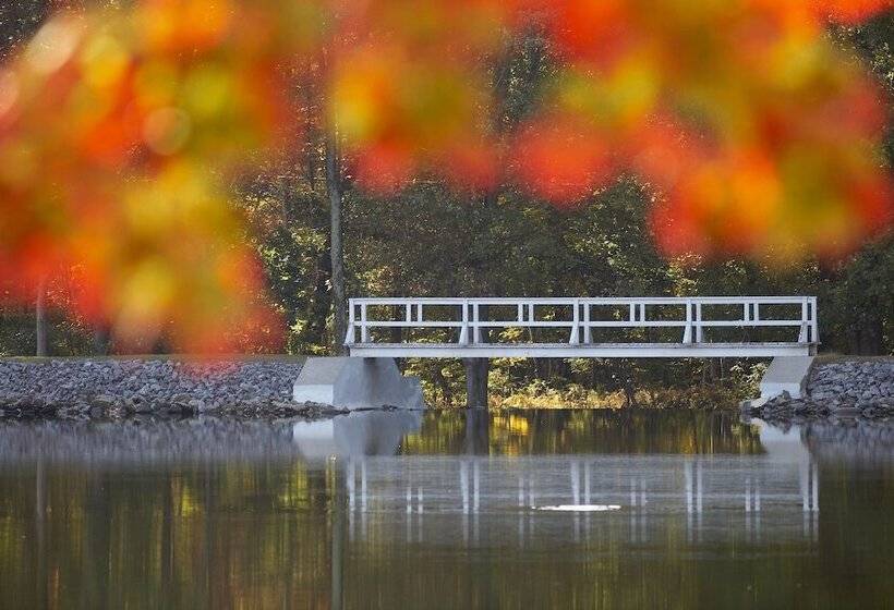 Mountain Springs Lake Resort