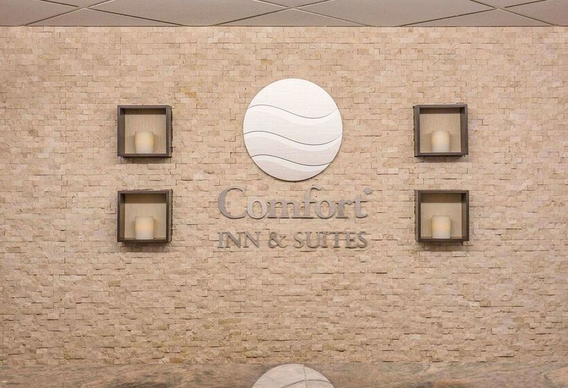 هتل Comfort Inn & Suites University