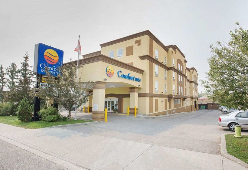 هتل Comfort Inn & Suites University