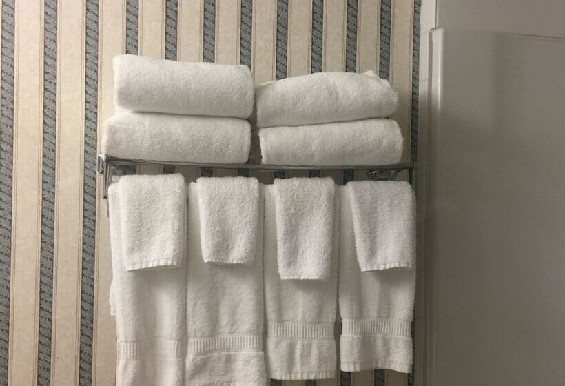 هتل Comfort Inn & Suites University