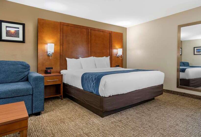 هتل Comfort Inn Birmingham  Irondale