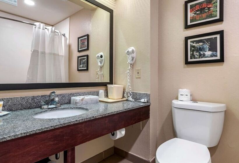 هتل Comfort Inn Birmingham  Irondale