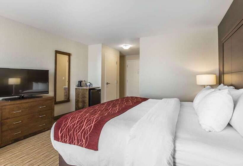 هتل Comfort Inn   Gander