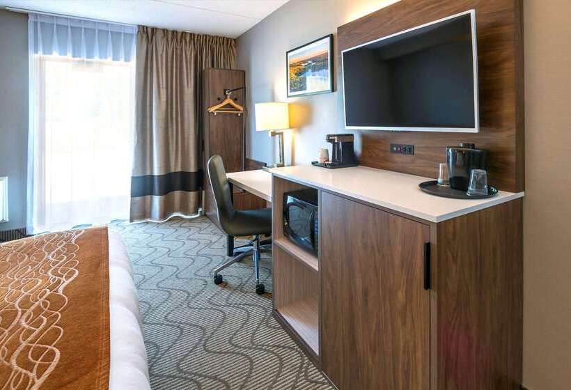 فندق Comfort Inn Lakeshore