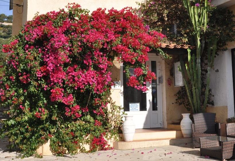 ホテル Hôtel Les Mimosas