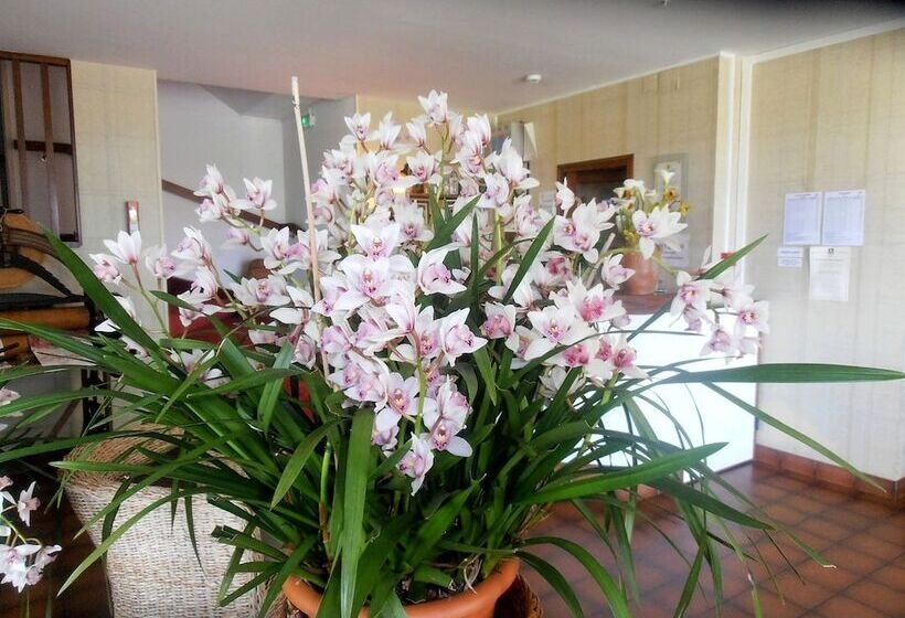 Hotel Auberge D Andaines