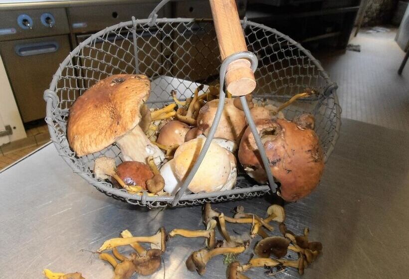 Hotel Auberge D Andaines