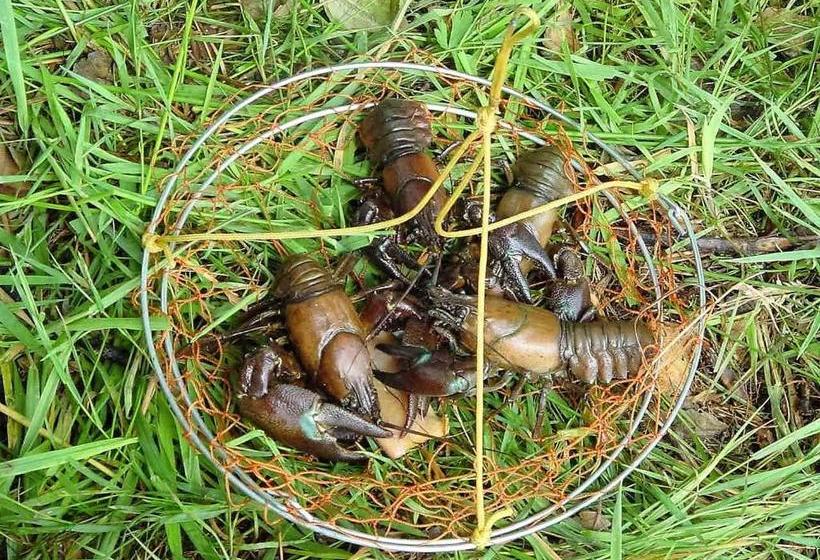 Hotel Auberge D Andaines