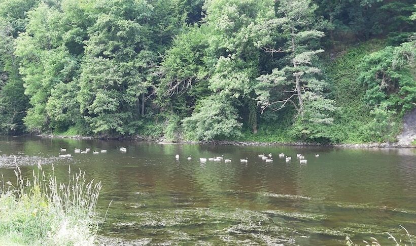ホテル Auberge En Ardenne
