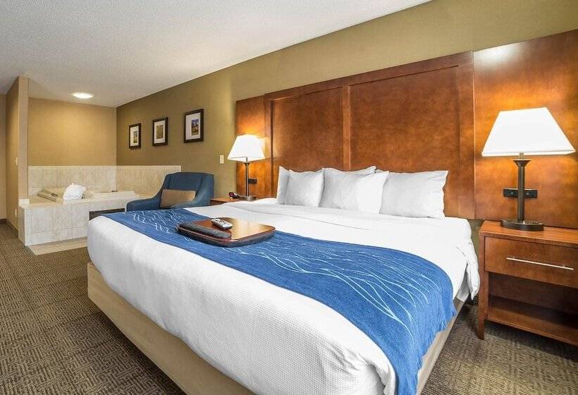 هتل Comfort Inn Grand Junction I70