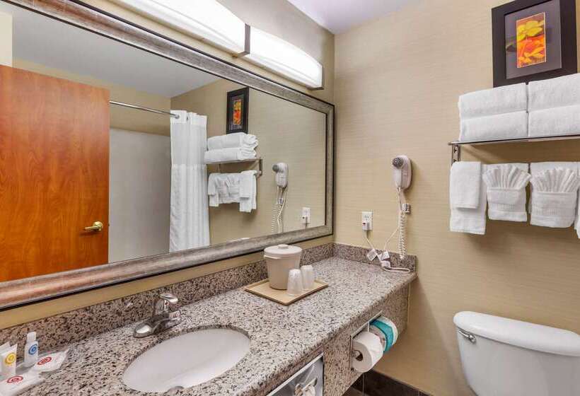 בית מלון כפרי Comfort Suites Denver Tech Center