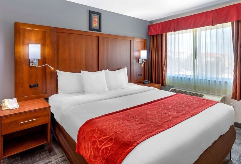 בית מלון כפרי Comfort Suites Denver Tech Center
