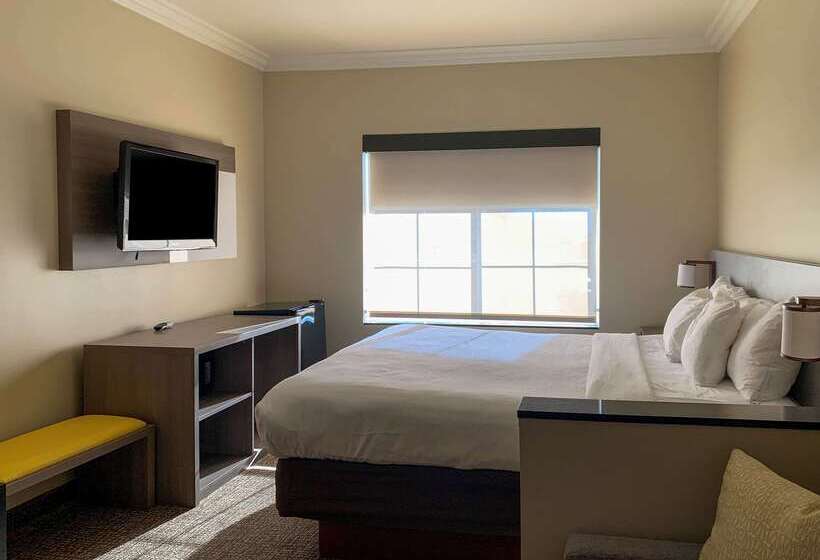 هتل Comfort Suites Oceanside Camp Pendleton Area