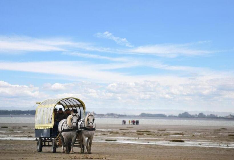 בית מלון כפרי Logis Auberge De La Dune   Hôtel & Restaurant