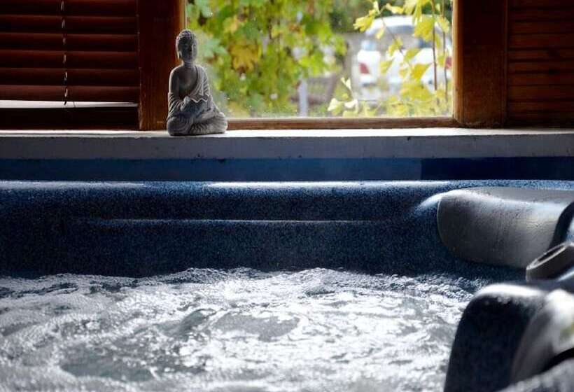 호텔 Logis Hôtel & Spa Le Saint Antoine