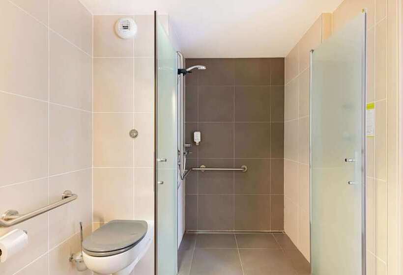 בית מלון כפרי Best Western Hôtel Des Barolles   Lyon Sud
