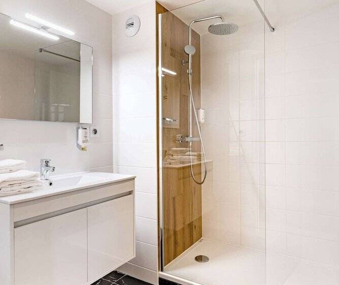 בית מלון כפרי Best Western Hôtel Des Barolles   Lyon Sud