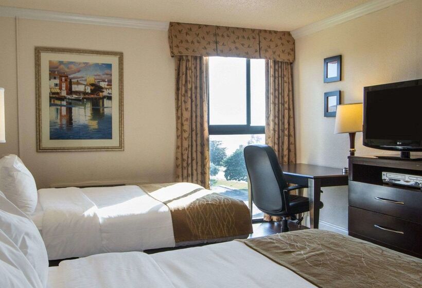 فندق Comfort Inn Oceanside Deerfield Beach