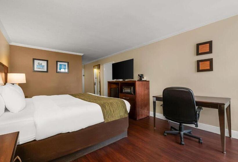 فندق Comfort Inn Oceanside Deerfield Beach