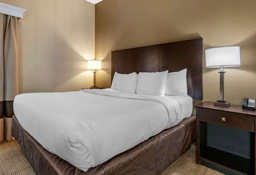 בית מלון כפרי Comfort Inn & Suites Deland  Near University