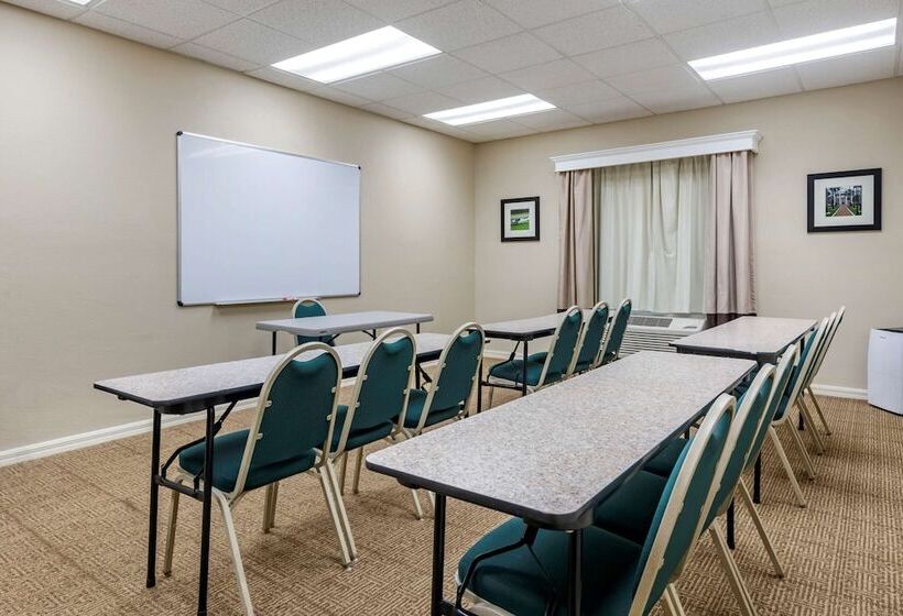 בית מלון כפרי Comfort Inn & Suites Deland  Near University