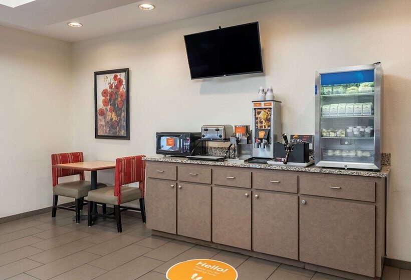 בית מלון כפרי Comfort Inn & Suites Deland  Near University