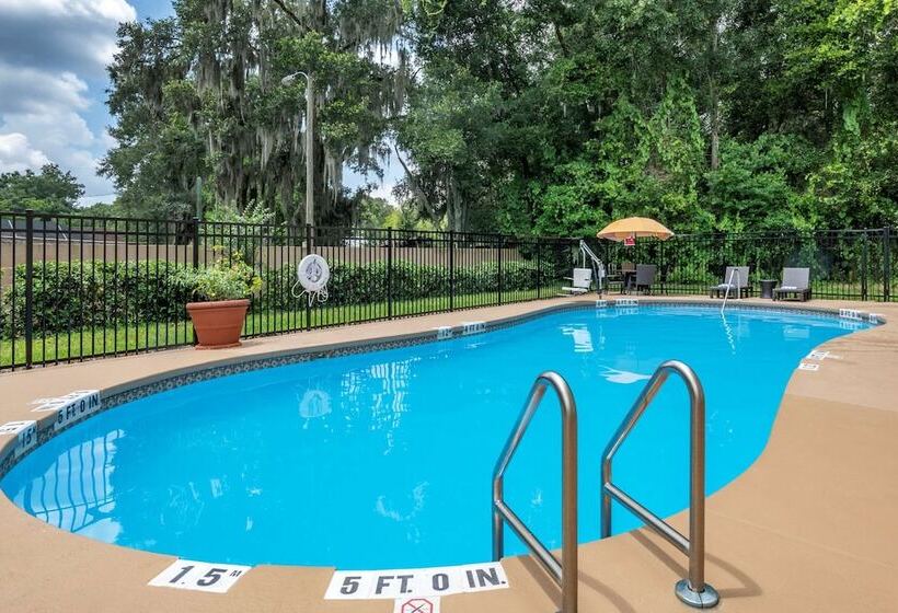 בית מלון כפרי Comfort Inn & Suites Deland  Near University