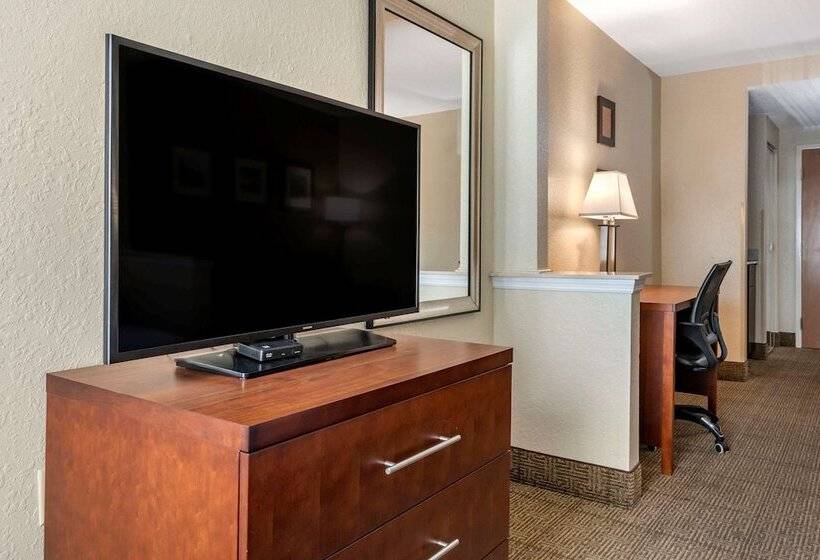 בית מלון כפרי Comfort Inn & Suites Deland  Near University