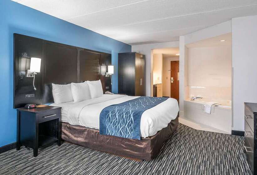 هتل Comfort Inn University