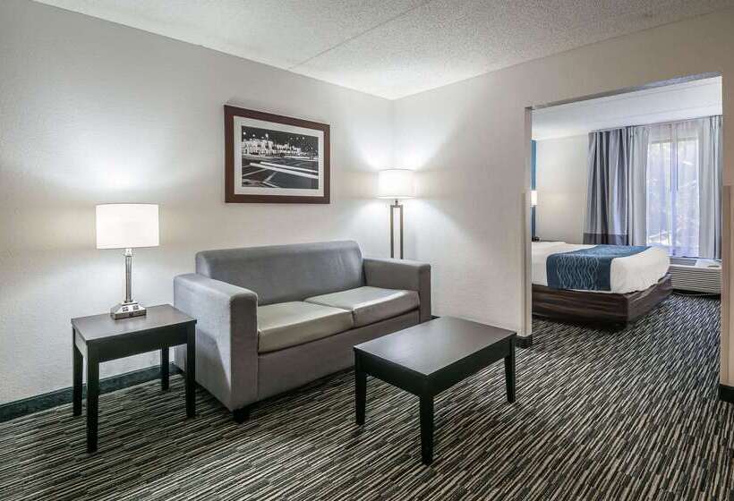 هتل Comfort Inn University