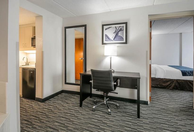هتل Comfort Inn University