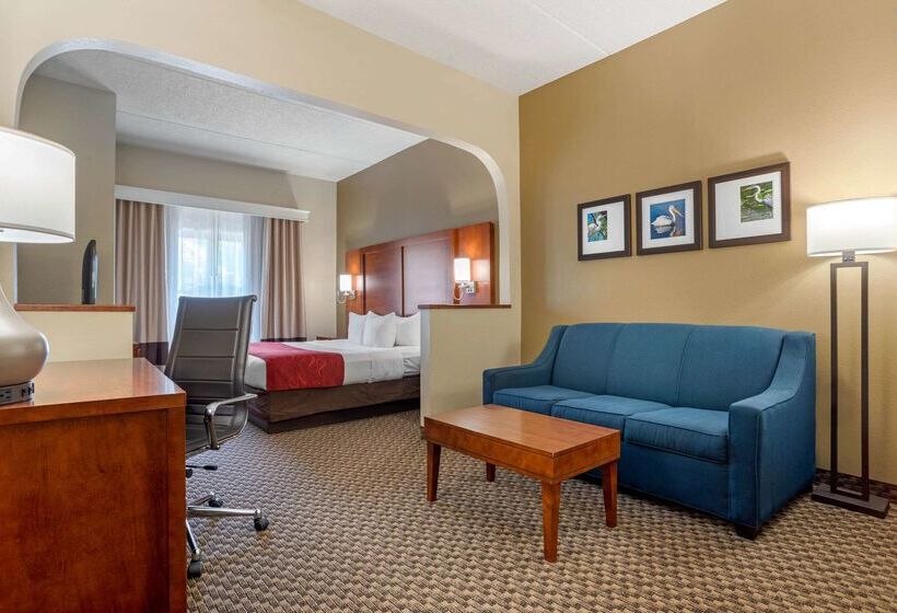 فندق Comfort Suites Tallahassee Downtown
