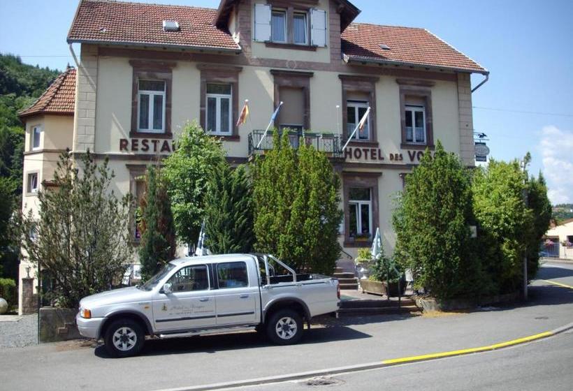 בית מלון כפרי Hôtel Des Vosges
