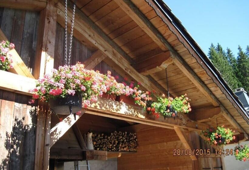 酒店 Le Tetras