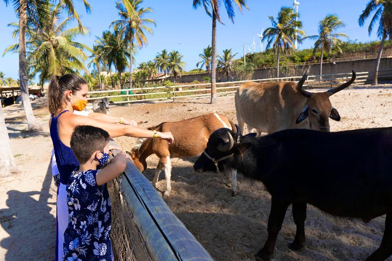 فندق Parque Das Fontes