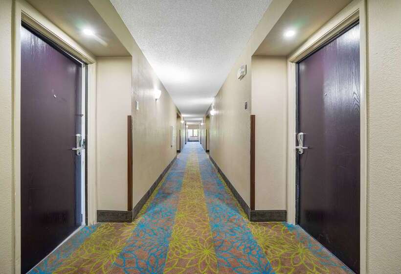 فندق Sleep Inn Leesburg Chain Of Lakes