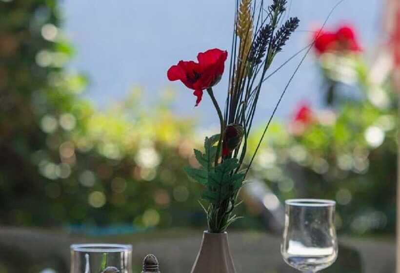 Logis Hotel Du Lac