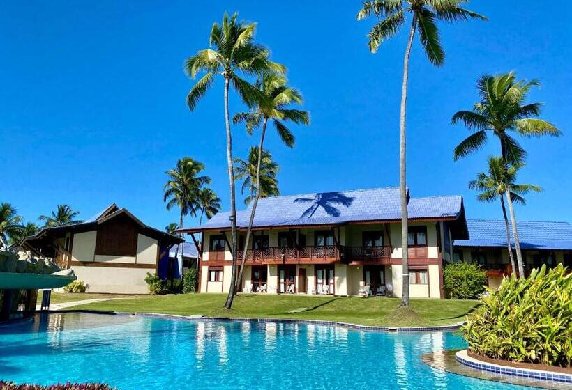 Summerville Resort   All Inclusive