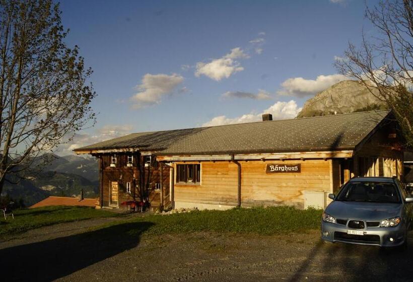 הוסטל Bärghuus Axalp