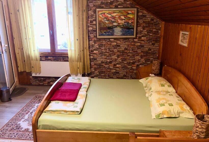פנסיון Guest House Niya