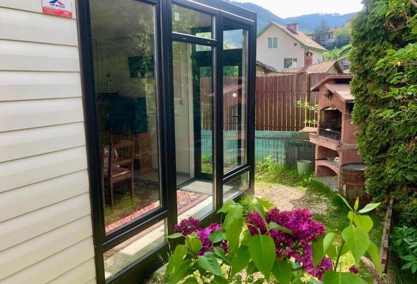 פנסיון Guest House Niya